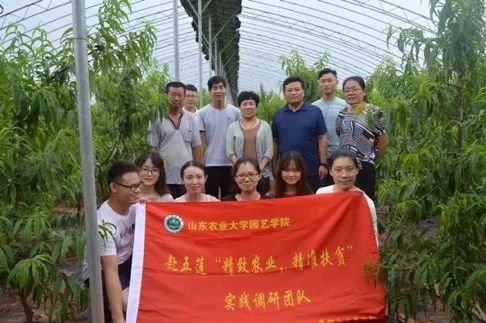 香港資料內(nèi)部資料精準,實踐調(diào)查說明_TYN50.750藝術(shù)版