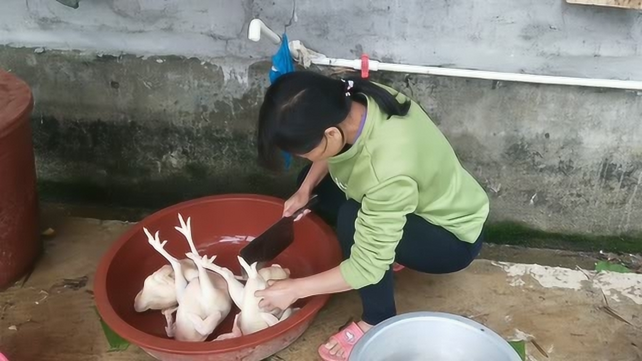 關于阿梅殺雞視頻的理性分析與網絡倫理道德探討，警惕涉黃內容侵蝕社會倫理底線。