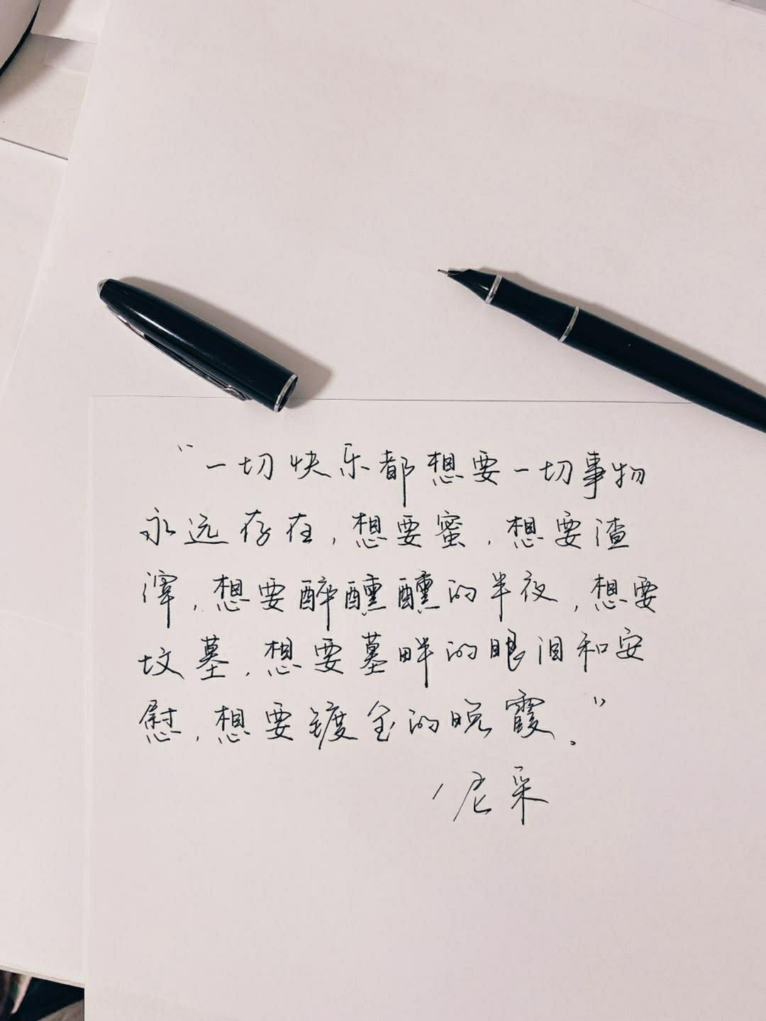 巷弄深處的獨特小店之旅，最新原創(chuàng)句子迷探索之旅