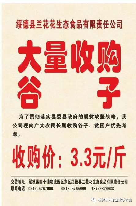 淄川最新財務(wù)招聘，職業(yè)發(fā)展的理想選擇