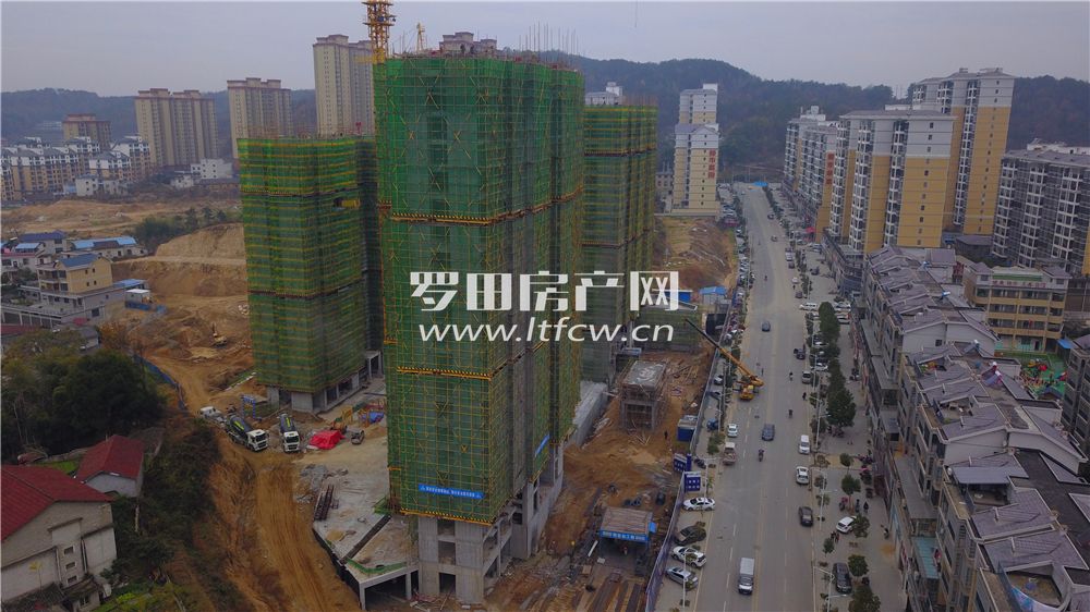 羅田最新房價揭秘，洞悉市場動態(tài)，掌握房價走勢！