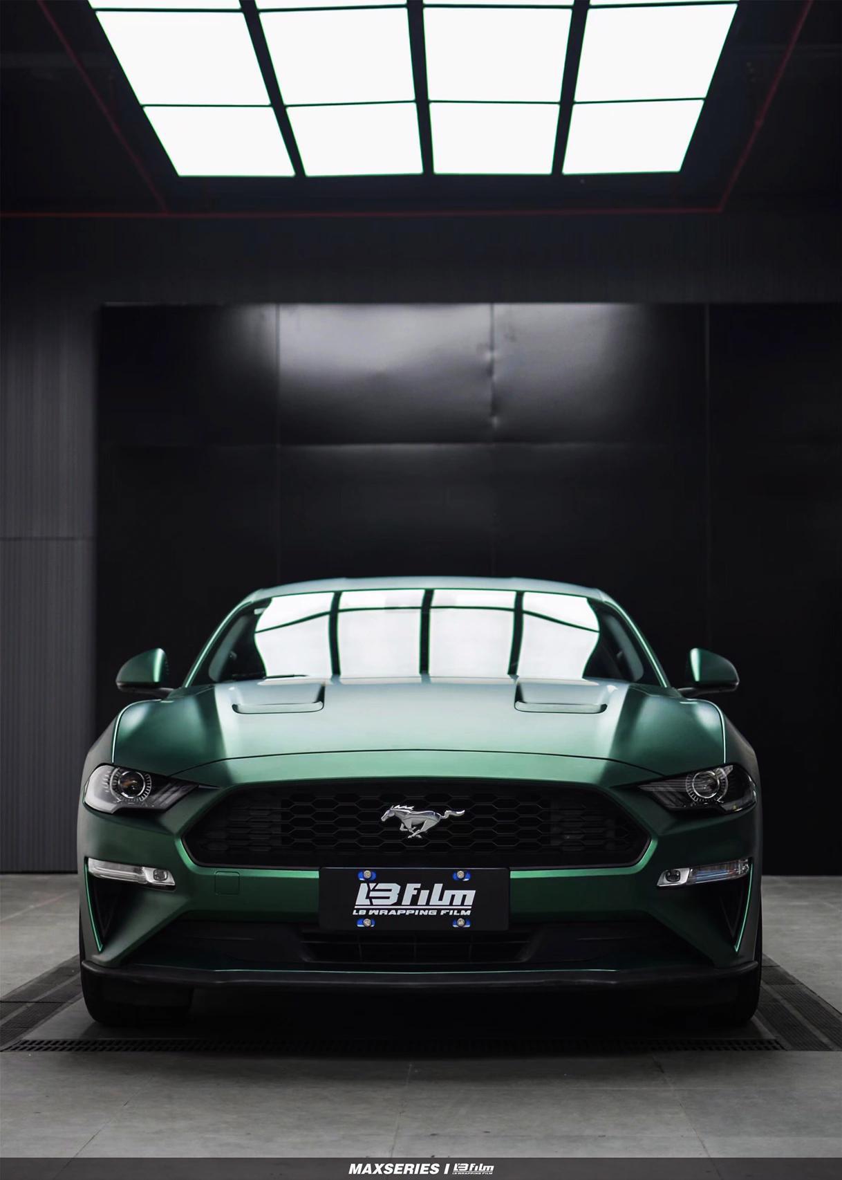 最新野馬汽車，技術(shù)革新與市場競爭的展現(xiàn)