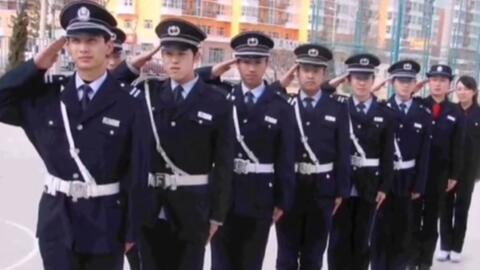 寧國最新保安招聘及其探討，行業(yè)現(xiàn)狀與發(fā)展趨勢(shì)分析