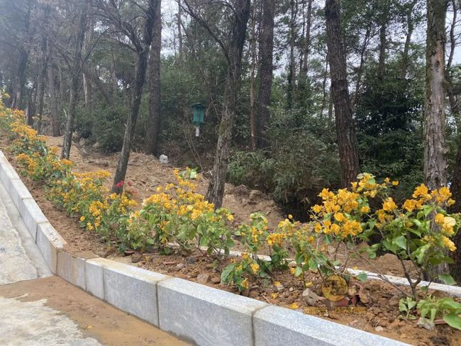 桂平手工，傳統(tǒng)與創(chuàng)新的完美交融