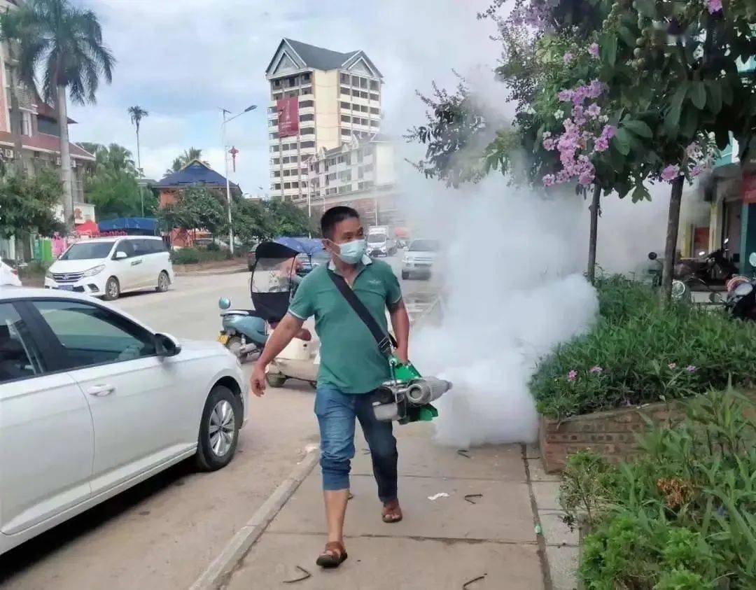 景洪登革熱最新疫情動(dòng)態(tài)，挑戰(zhàn)與自信之光的博弈