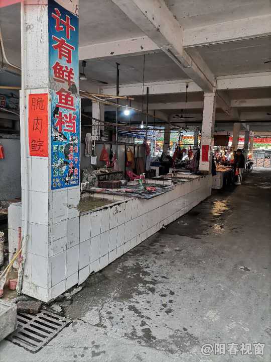 最新魚檔轉(zhuǎn)讓，把握商機(jī)，輕松開啟水產(chǎn)養(yǎng)殖事業(yè)之路