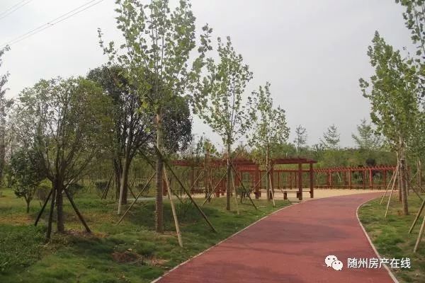 隨州桃園公園最新動態(tài)揭秘，驚喜連連，不容錯過！