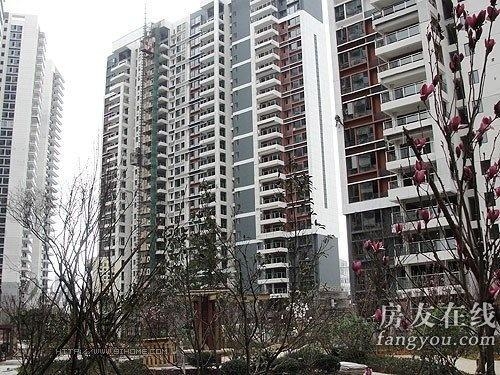 綠地長(zhǎng)島公寓最新價(jià)格揭秘，小巷深處的隱藏寶藏