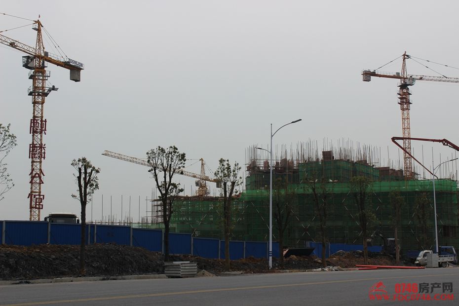 池州麒麟公館最新動態(tài)揭秘，最新進展與資訊更新