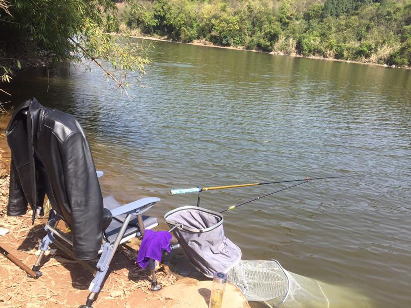 山門寺水庫釣魚最新指南，垂釣攻略與技巧分享