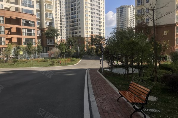 建禮家園最新動(dòng)態(tài)，小巷中的隱藏瑰寶揭秘