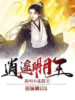 時(shí)代之光下的璀璨篇章，明月珰最新連載熱議熱議熱議！