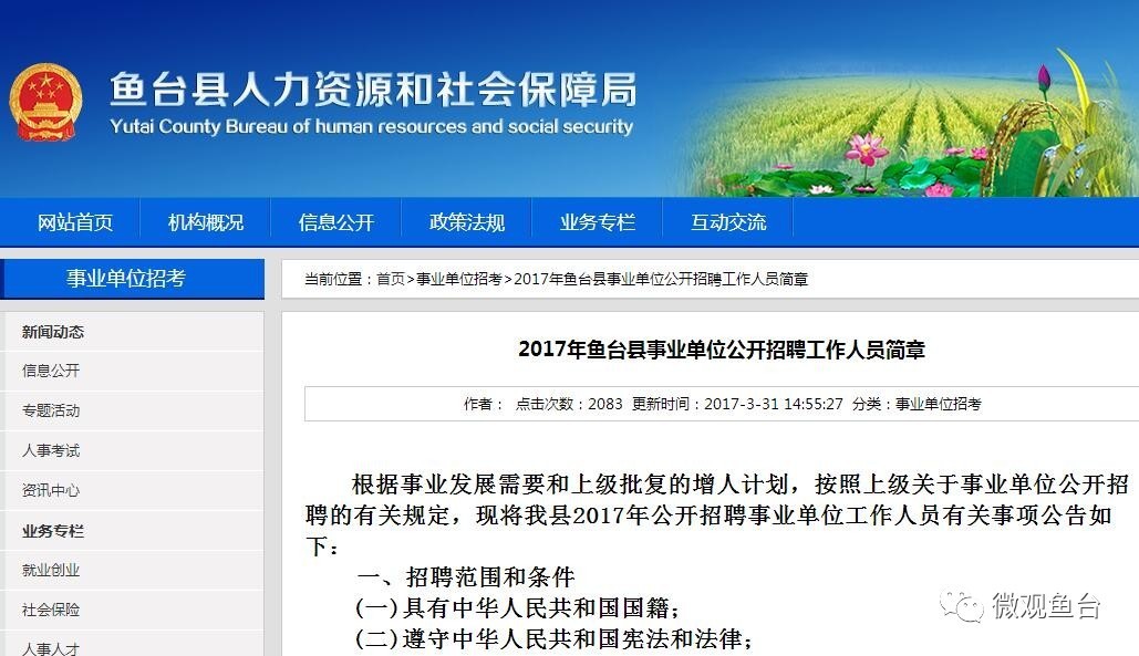 魚(yú)臺(tái)最新招聘信息大全，求職步驟指南與招聘信息更新速遞