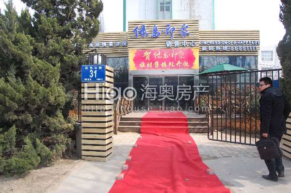 青島大洋花園最新動(dòng)態(tài)，科技重塑未來花園的極致體驗(yàn)