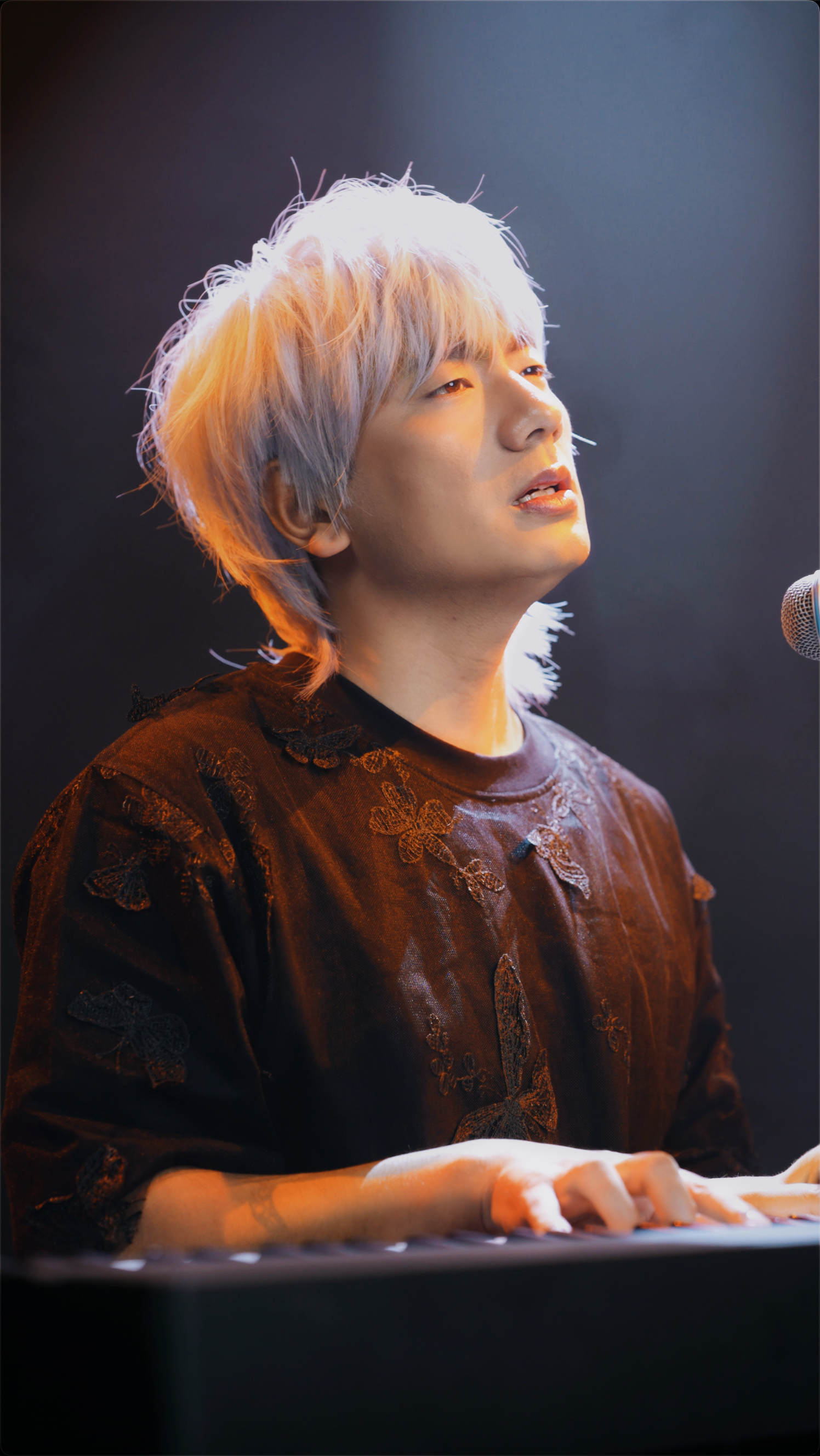 冷漠2024最新預告新歌，音樂與時代交融的期待之聲