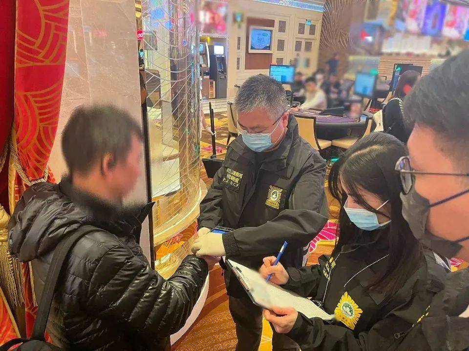 新澳門一肖一碼精準(zhǔn)資料公開,社會(huì)承擔(dān)實(shí)踐戰(zhàn)略_XRF83.344旅行助手版