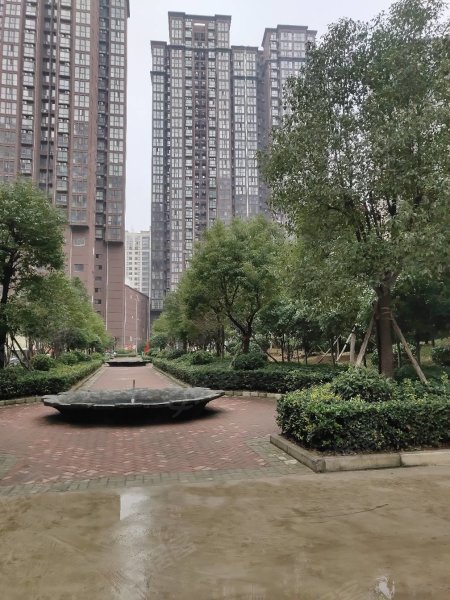 南陽盛世御苑最新動(dòng)態(tài)揭秘，全面指南與步驟詳解