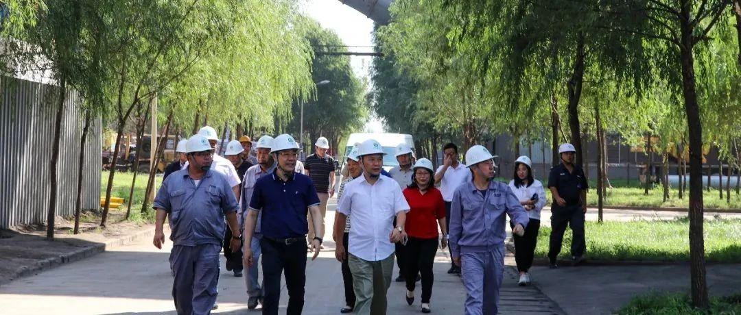 最新鍋爐工招聘信息揭秘，鍋爐工的溫馨日常故事探索