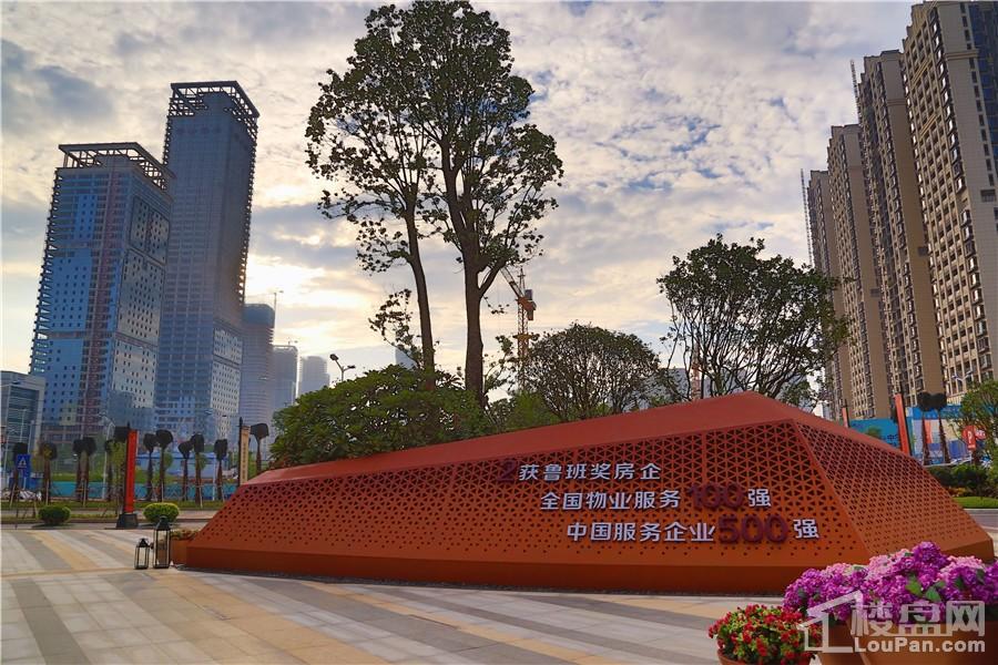 南寧彰泰城最新動(dòng)態(tài)，解讀其最新發(fā)展及影響的一種觀點(diǎn)分析