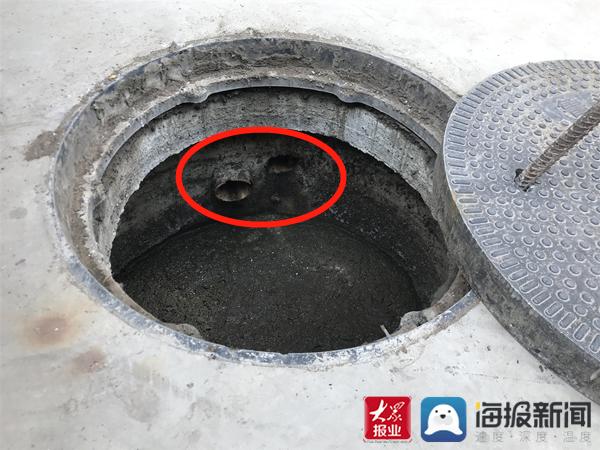 福建臺幫幫團最新一期揭秘，小巷深處的隱藏美食瑰寶