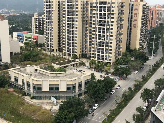 膠南山水雅居最新動態(tài)，鄰里日常趣事與情感紐帶分享