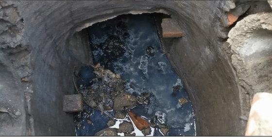 遂寧市電子廠最新招聘，與自然共舞，探尋內(nèi)心寧?kù)o之旅