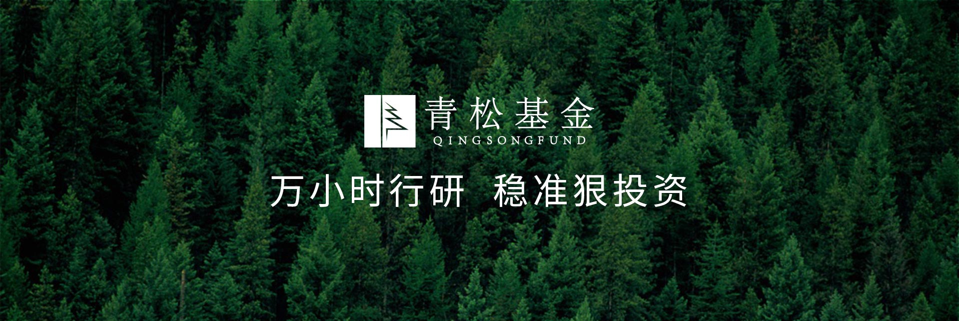 長(zhǎng)青樹(shù)眾籌最新動(dòng)態(tài)，背景、發(fā)展與時(shí)代地位探索