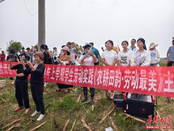 桃源木塘垸鄉(xiāng)新動態(tài)，趣事連連，真摯友情綻放鄉(xiāng)間