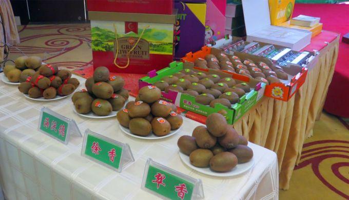 嘉興對接上海最新進(jìn)展，城市崛起中的自信與成就感展現(xiàn)新面貌