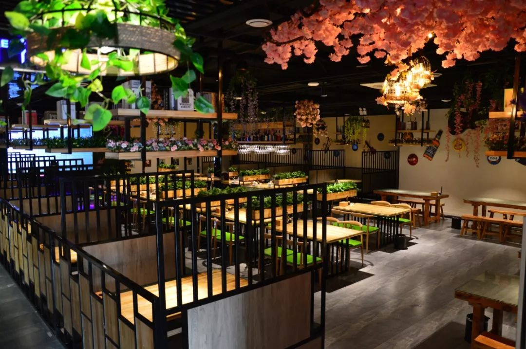 中餐廳最新一期音樂，熱門旋律與節(jié)目魅力的完美交融