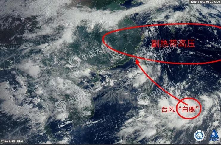 工礦燈具 第232頁(yè)