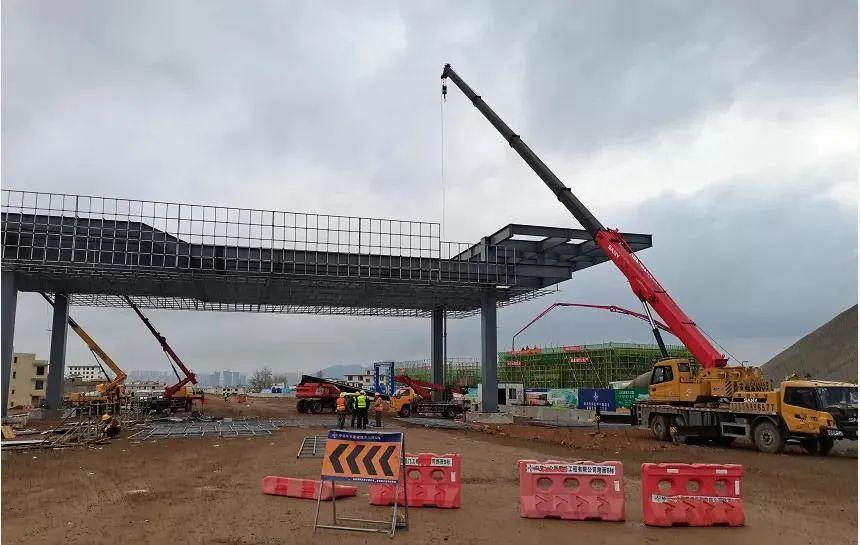 深度解析與探討，最新元龍劇情分析