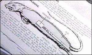 美國(guó)填尸最新進(jìn)展，高科技重塑生活，未來(lái)科技魅力體驗(yàn)