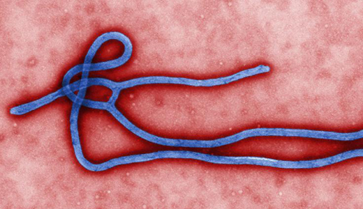 警惕最新病毒病人，你需要了解這些關鍵信息！