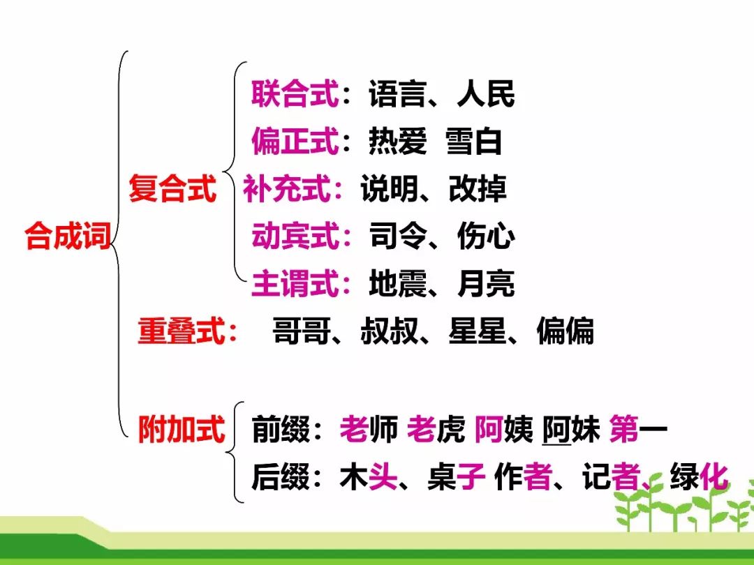 最新合成詞，語(yǔ)言發(fā)展的微觀視角探索