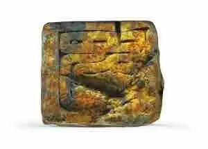 余厚蜀最新動態(tài)，科技前沿探索與行業(yè)創(chuàng)新引領