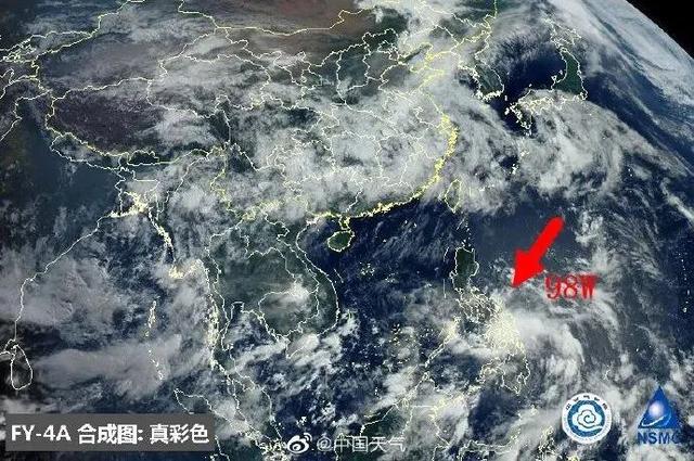臺風鸚鵡的最新動態(tài)，逆風翱翔的力量與學習魅力