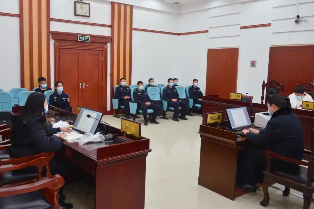 憲法案件最新動(dòng)態(tài)，小巷深處的情懷與特色小店的奇遇