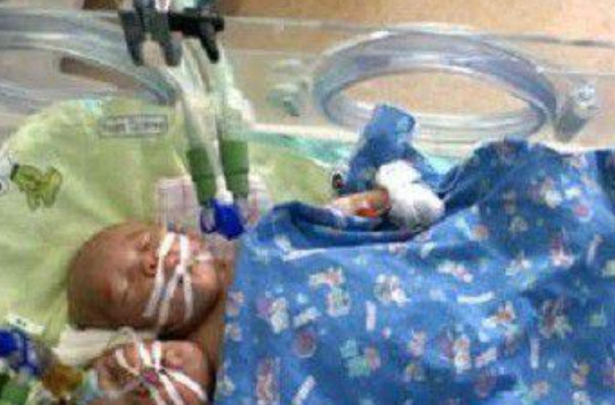 雙頭姐妹，時(shí)代背景下的傳奇故事最新進(jìn)展