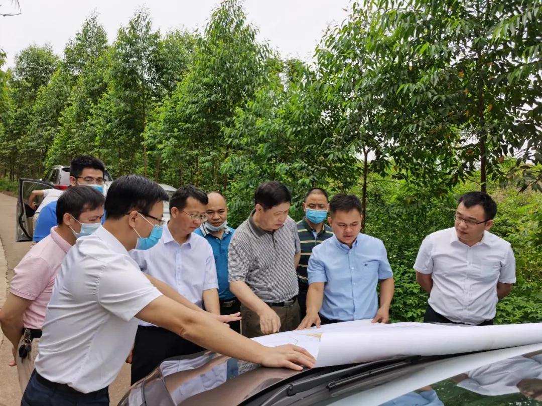 南寧龍象谷最新資訊，游玩指南與技能學(xué)習(xí)步驟全解析