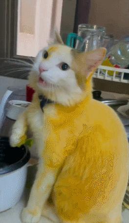 男友最新動(dòng)態(tài)，科技巔峰之作，引領(lǐng)未來(lái)生活新紀(jì)元風(fēng)潮