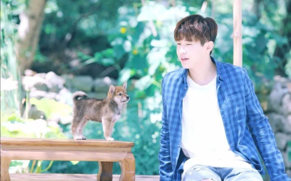 夏雪黃磊攜手演繹別樣精彩人生，新作品震撼來襲！???