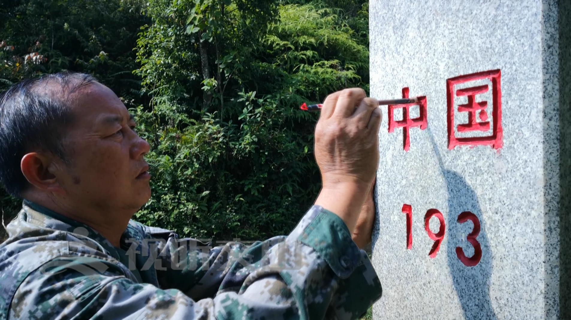 文山黃牛打架比賽，傳統(tǒng)與爭(zhēng)議的碰撞
