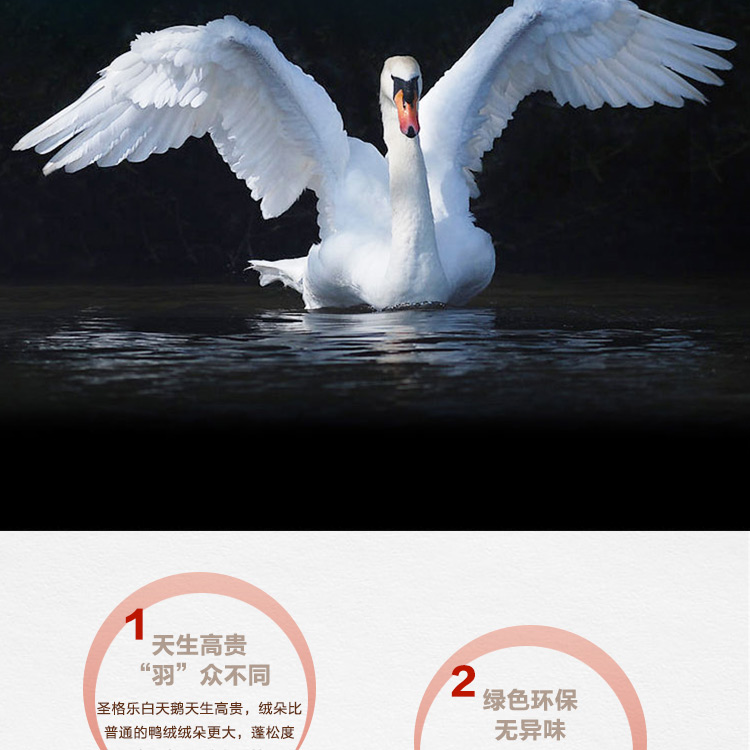 探索小巷羽絨寶藏，90白鵝絨價(jià)格與溫暖故事