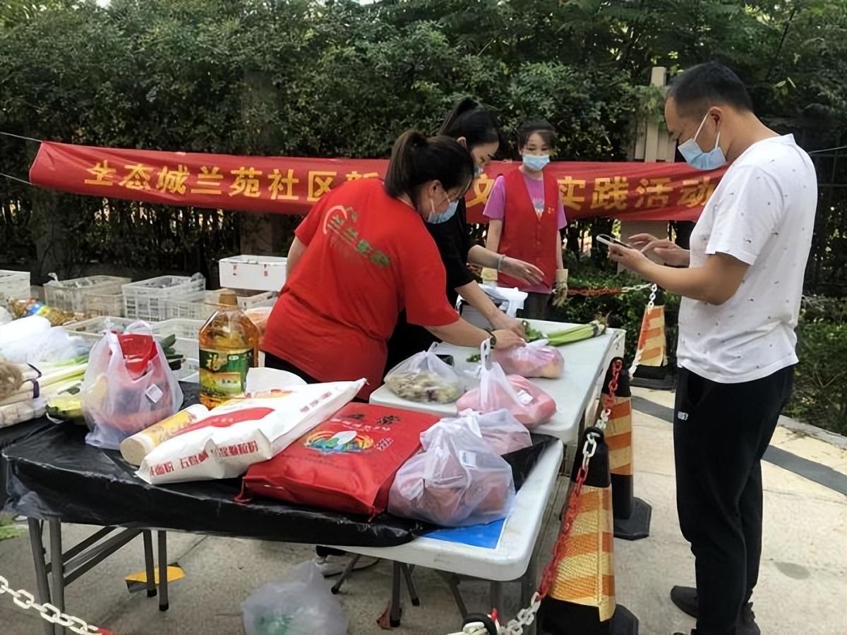 保利華潤紫云價格深度解析，探尋背后的故事與地位影響