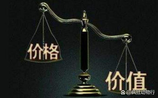 價格與價值解析，差異何在？