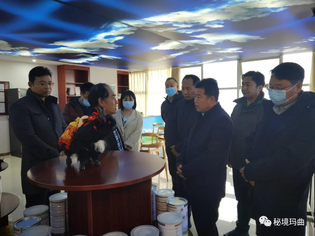 高原之寶上市，學(xué)習(xí)、蛻變與自信的輝煌之旅