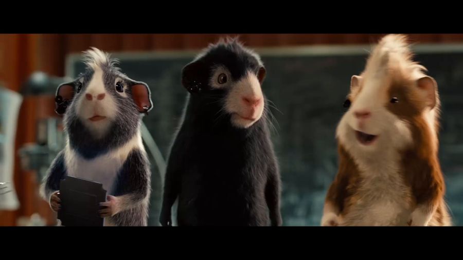 豚鼠電影,豚鼠電影，科技巨獻(xiàn)，重塑觀影體驗(yàn)