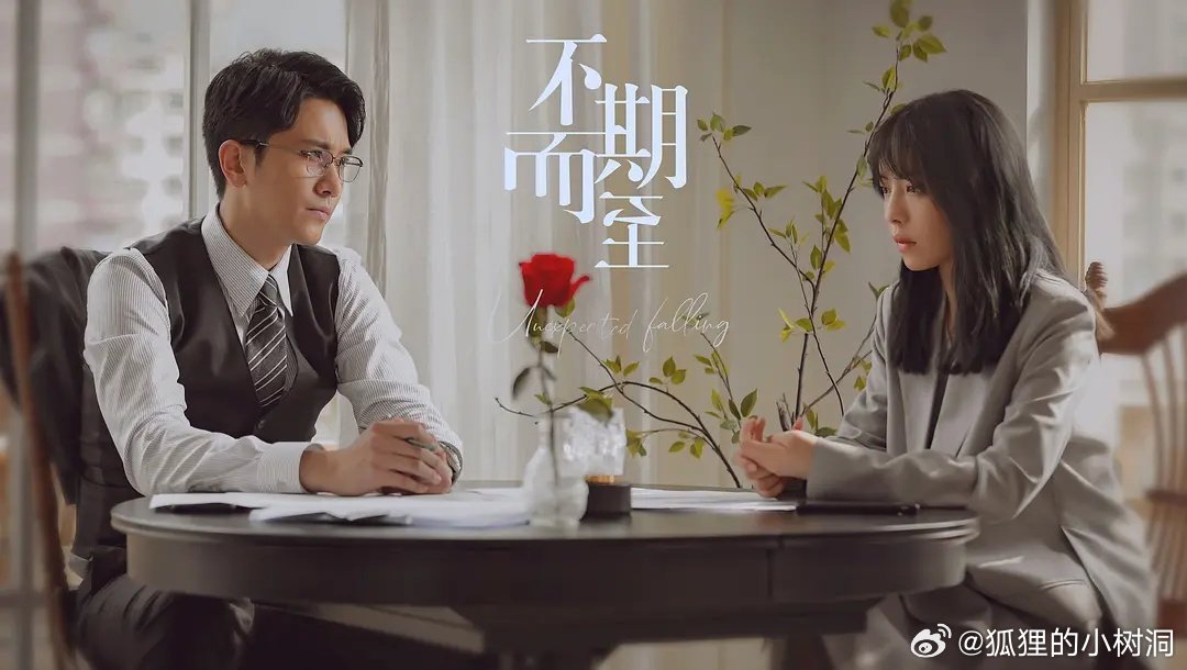 不期而至電視劇，從入門到進(jìn)階的觀看指南