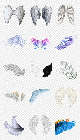 動(dòng)漫翅膀繪制指南，從白紙起步，繪出飛翔的勵(lì)志翅膀！